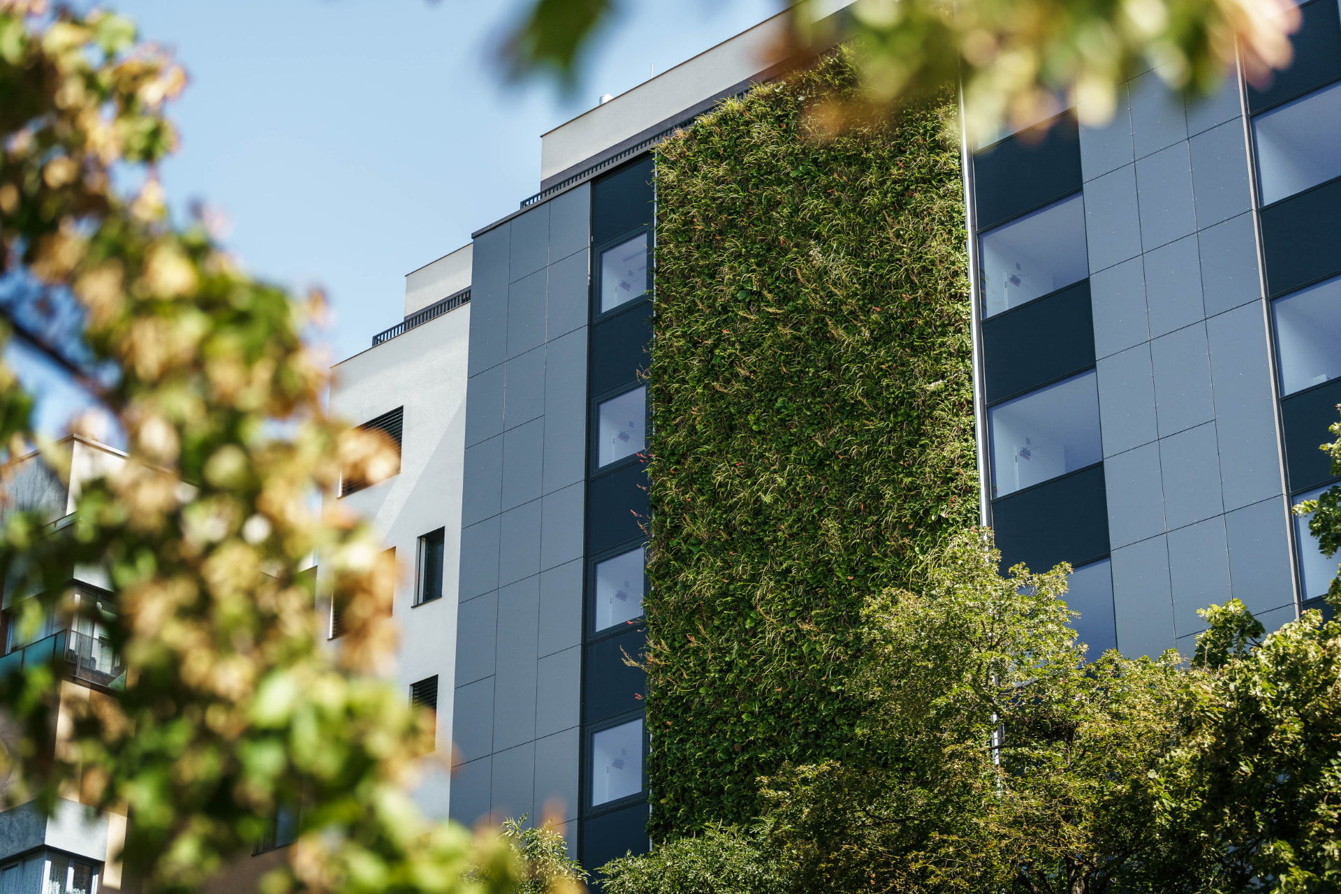 Zelená fasáda so živou stenou v projekte Green Atrium