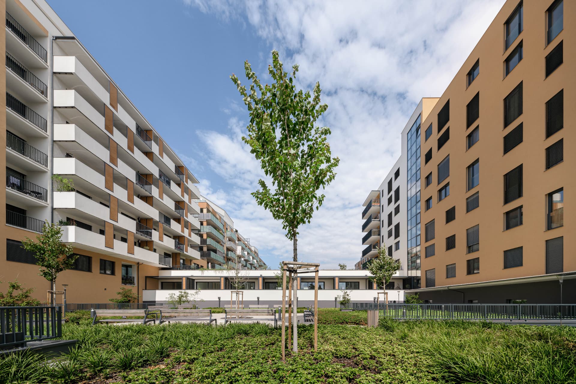 Green Atrium - zelený vnútroblok so stromom